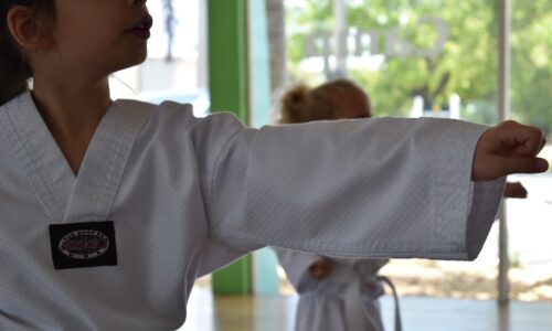 Kurs instruktora judo